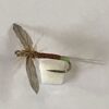 Hot Spot Spinner