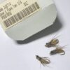 Steve's Pupa Tan - 画像 (2)