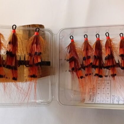 General Practitioner Double #3 12個